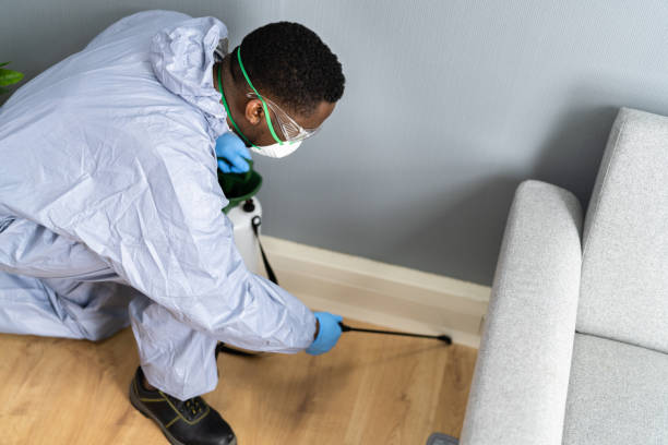 Trusted Perry Heights, OH Pest control Experts